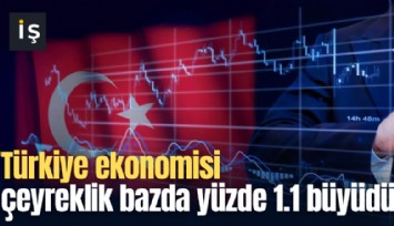 Türkiye ekonomisi çeyreklik bazda 1.1 büyüdü