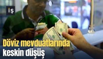 Döviz mevduatlarında keskin düşüş