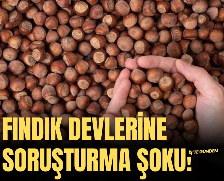 Fındık devlerine soruşturma başlatıldı