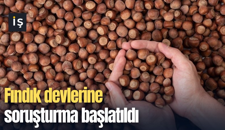 Fındık devlerine soruşturma başlatıldı