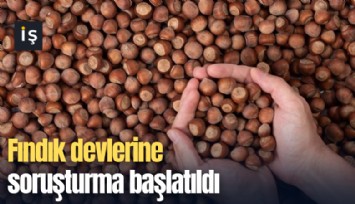 Fındık devlerine soruşturma başlatıldı