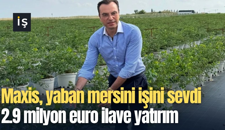 Maxis, yaban mersini işini sevdi, 2.9 milyon euro ilave yatırım yapacak