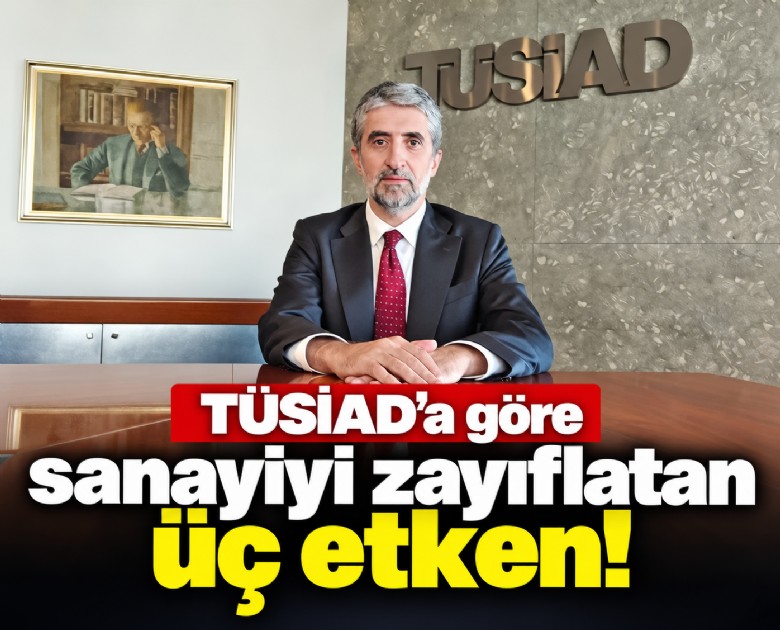 TÜSİAD'a göre sanayiyi zayıflatan üç etken!