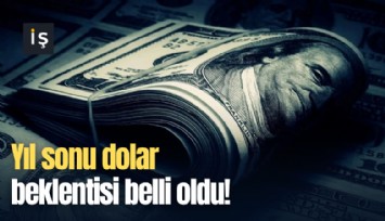 Yıl sonu dolar beklentisi belli oldu!